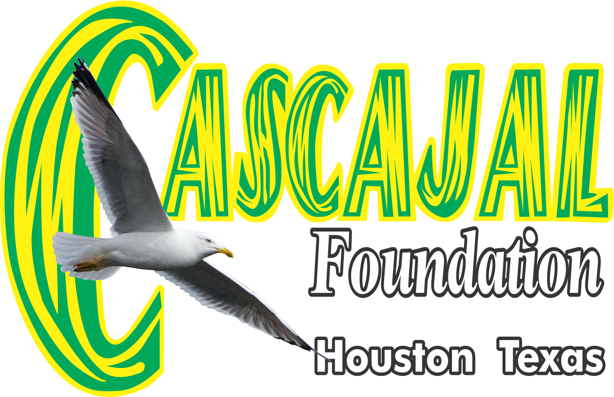 Logo Cascajal Foundation